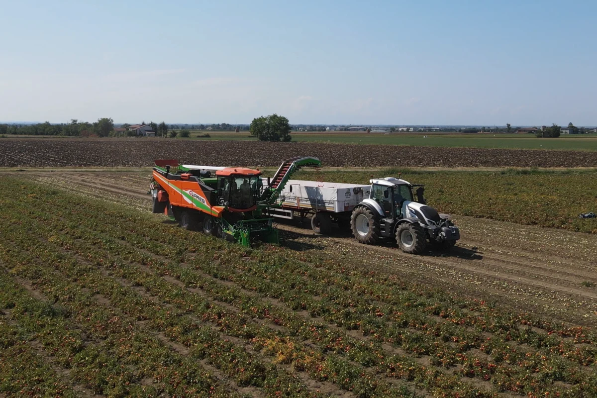 progetto Life Laerthes 2