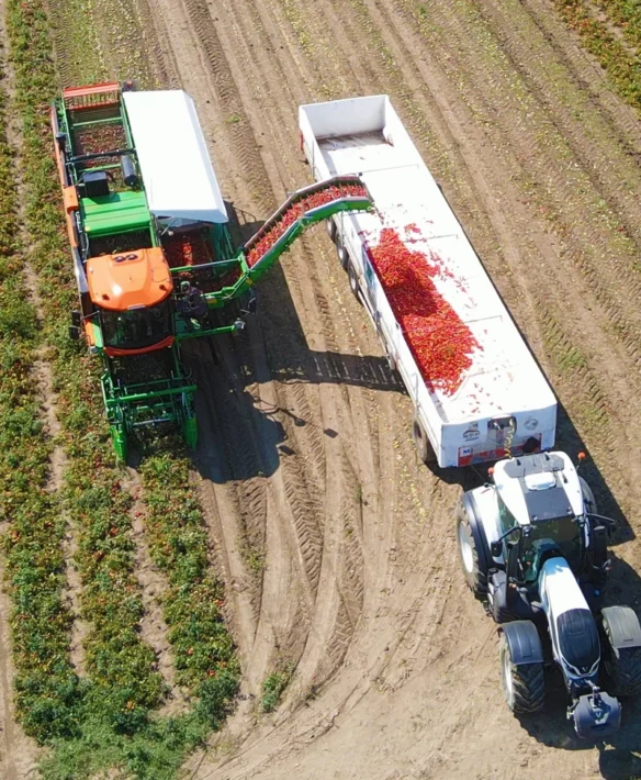 progetto Life Laerthes 3