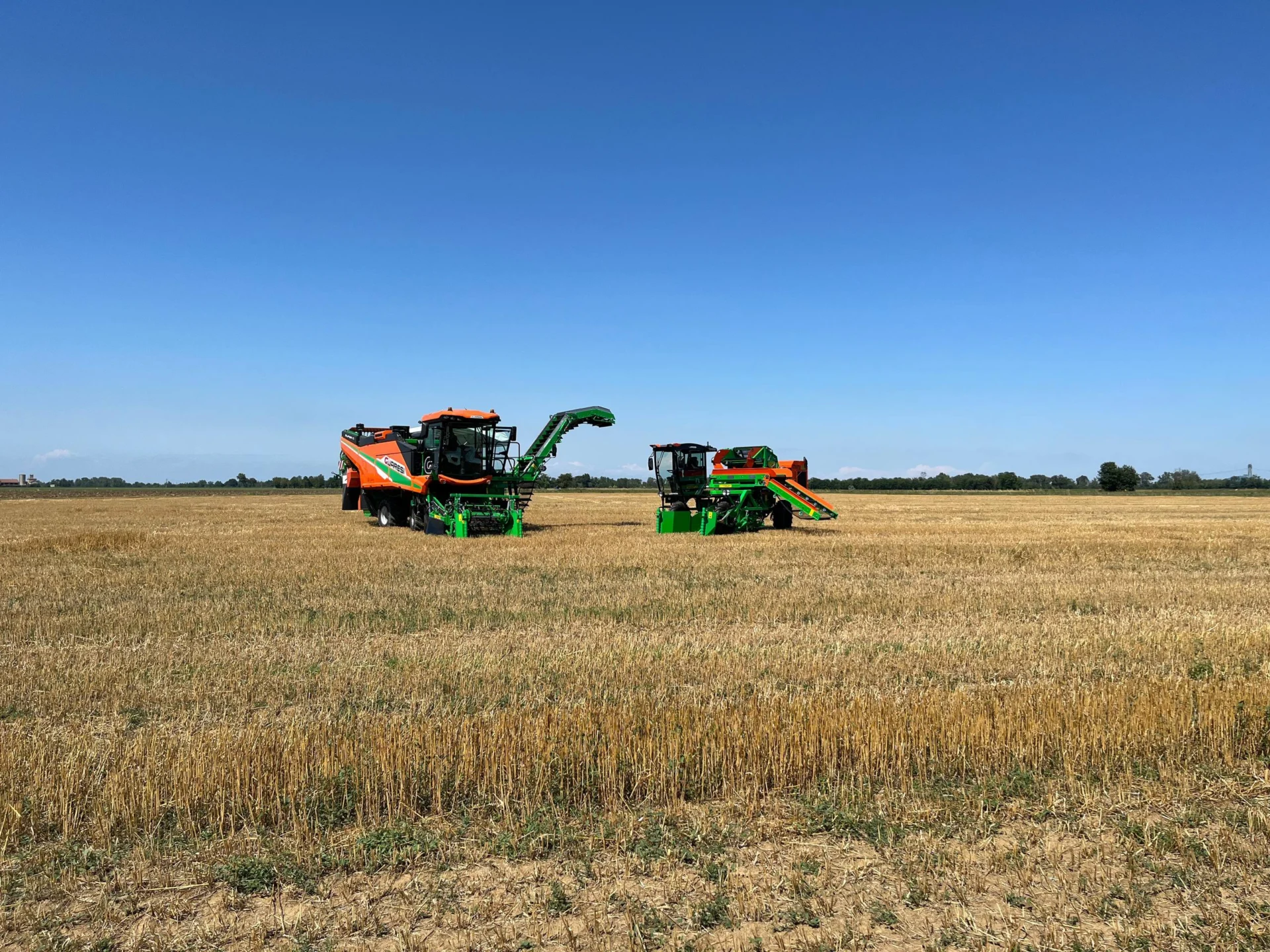 photo_7_2025-10-22_11-37-08 copia